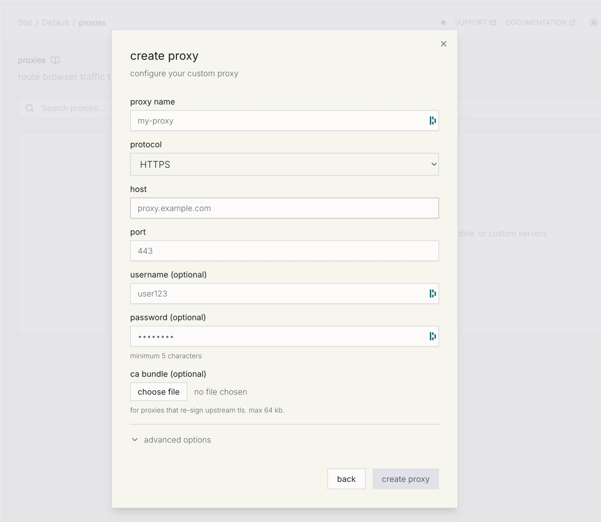 Step 3c: the custom proxy form. Change protocol from HTTPS to HTTP, and leave the CA bundle empty. Kernel's custom proxy form with fields for proxy name, protocol, host, port, username, password, and an optional CA bundle